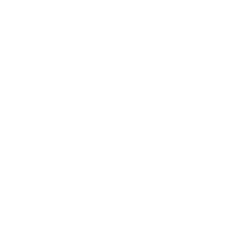 Cat Lives